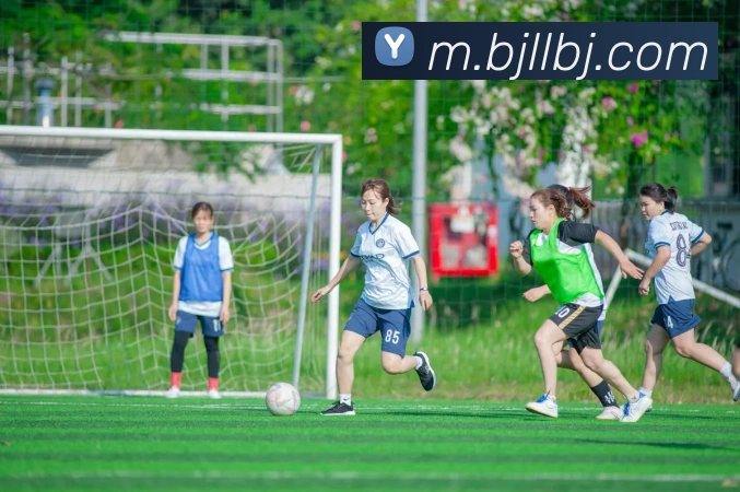 百家乐网站APP 封面图